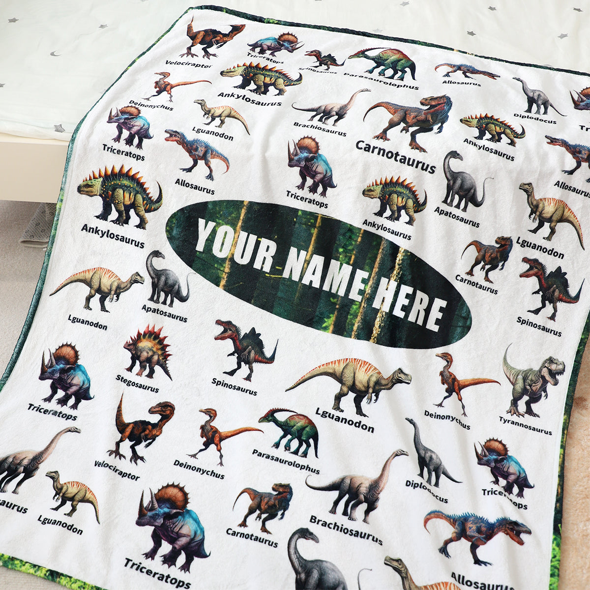 Personalized Jurassic Dinosaurs Blankets - Gifts for Kid