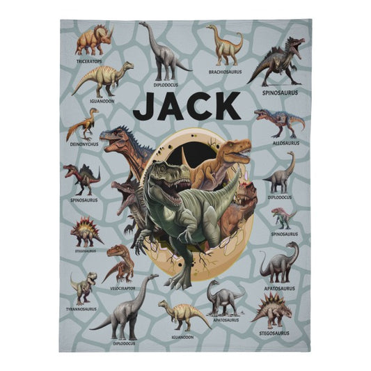 Personalized Jurassic Dinosaur Name Blankets - Gifts for Kid