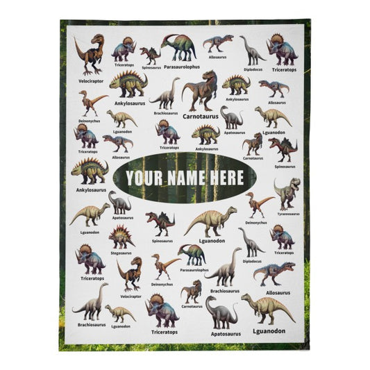 Personalized Jurassic Dinosaurs Blankets - Gifts for Kid
