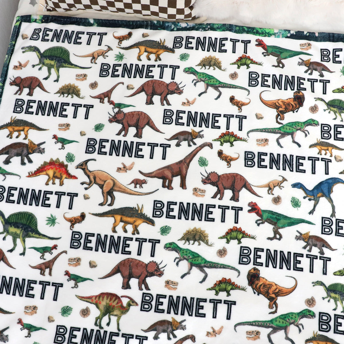 Personalized Forest Dinosaurs Children's Name Blankets - Gift for Kids