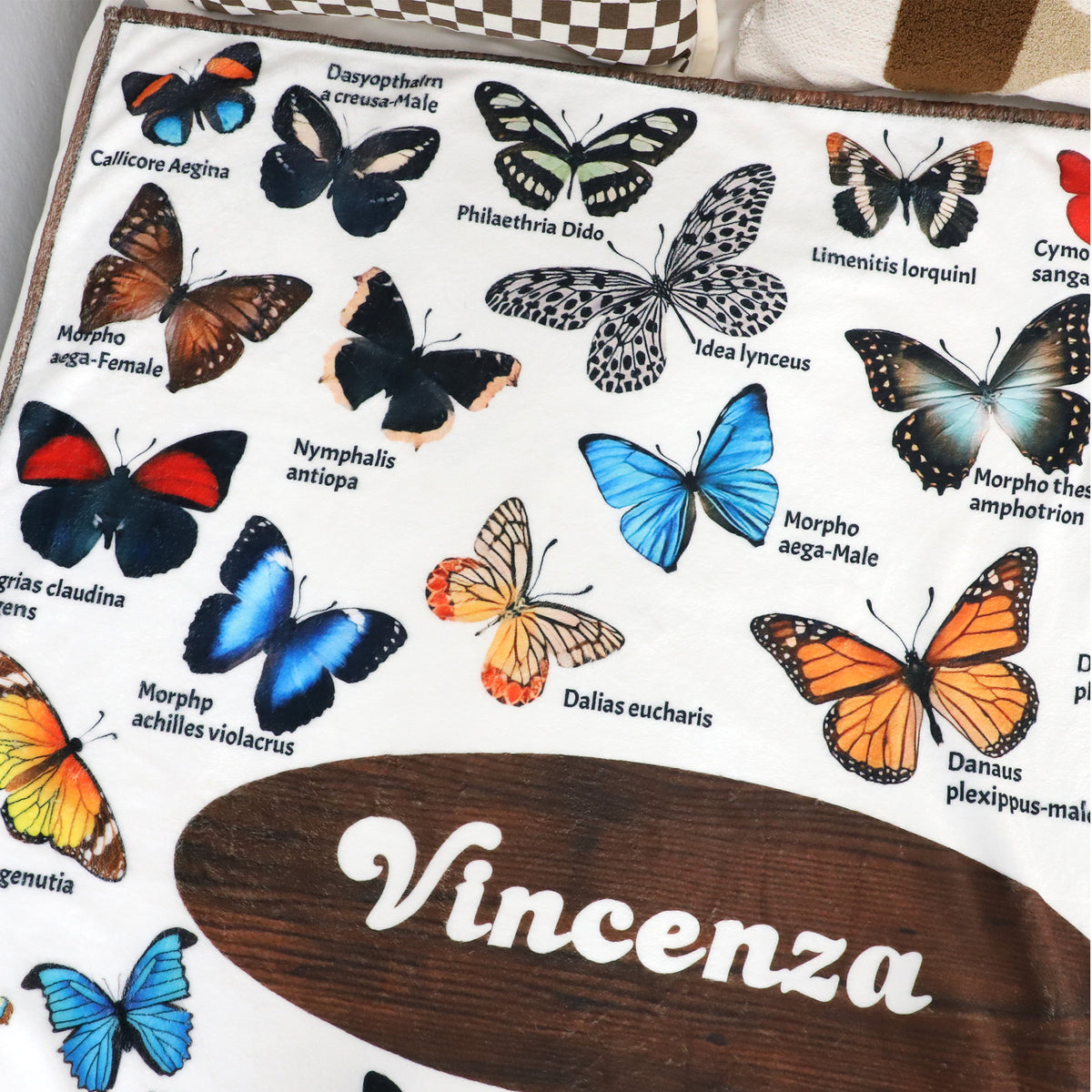 Personalized Butterfly Encyclopedia Name Blanket - Gift for Kids